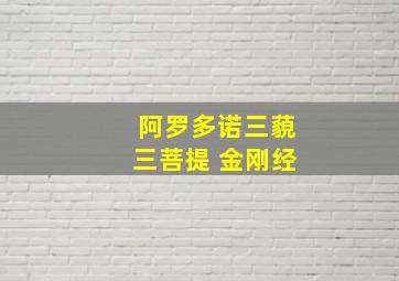 阿罗多诺三藐三菩提 金刚经